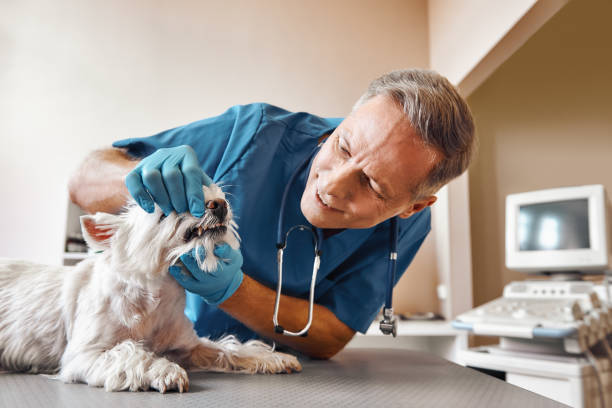 Best Emergency Wisdom Teeth Removal in Mcleansville, NC